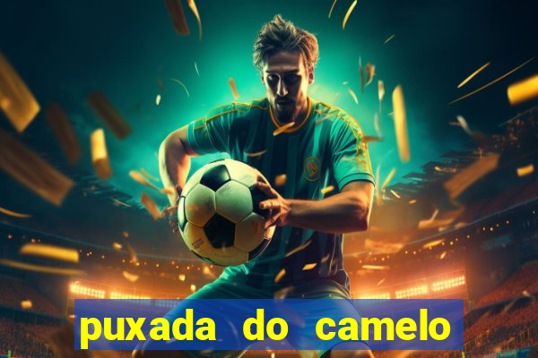 puxada do camelo no jogo do bicho